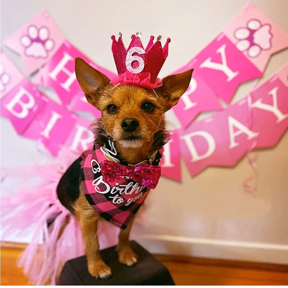 New BIEOFFEI Dog Birthday Party Supplies - Dog Birthday Party (6 Pieces Set) - Picture 7 of 8